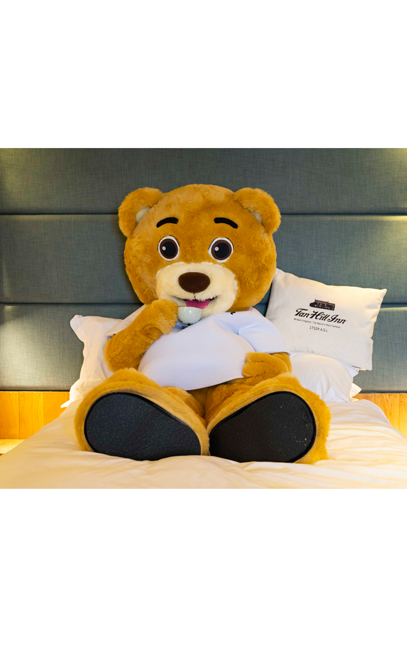 Cushion Cover